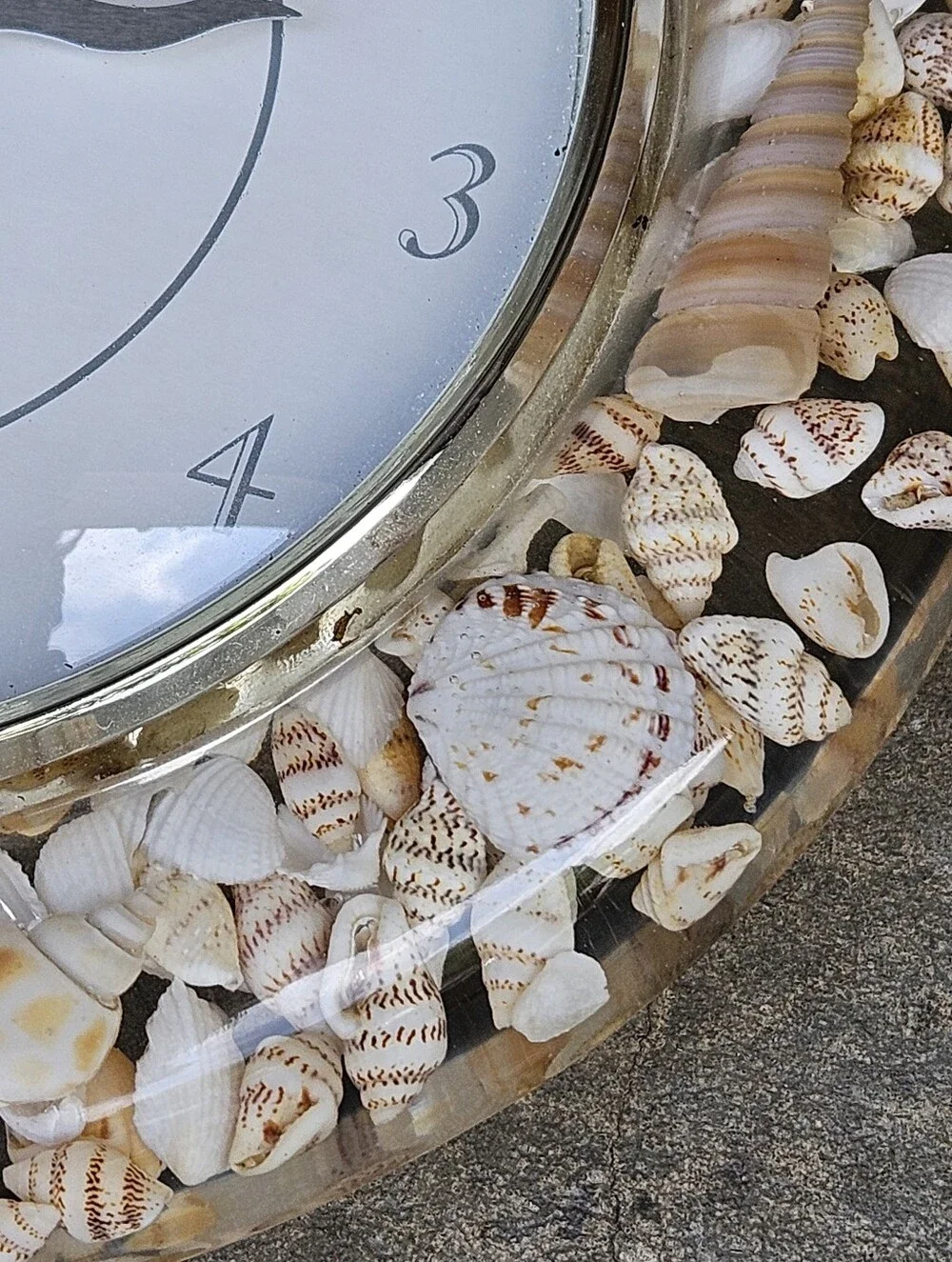 Sands Of Time Seashell Clock
